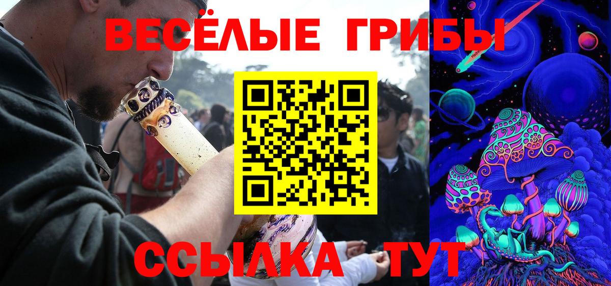 Галлюциногенные грибы GOLDEN TEACHER  Галлюциногенные грибы прущие грибы  Саратов  Вход с VPN 